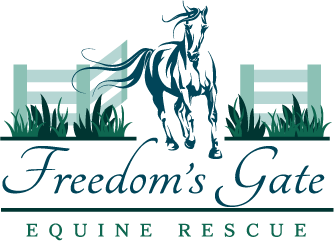 Freedom's Gate Equine Rescue