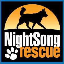 Night Song Rescue Logo Design